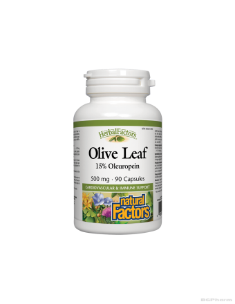 Маслина листа екстракт 500мг х 90 капсули Natural Factors | Olive Leaf