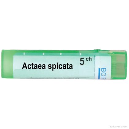 Актеа спиката 5 CH Boiron | ACTAEA SPICATA
