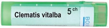 Клематис виталба 5 CH Boiron | CLEMATIS VITALBA