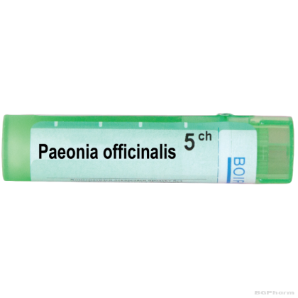 Пеония официналис 5 CH Boiron | PAEONIA OFFICINALIS