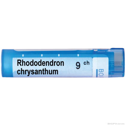 Рододендрон хризантум 9 CH Boiron | RHODODENDRON CHRYSANTHUM