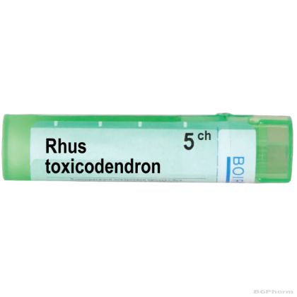 Рус токсикодендрон 5 CH Boiron | RHUS TOXICODENDRON