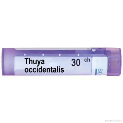 Туя оксиденталис 30 CH Boiron | THUYA OCCIDENTALIS