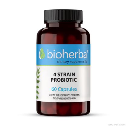 Пробиотик 4 щама х 100 капсули БИОХЕРБА | BIOHERBA 4 Strain Probiotic