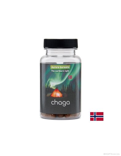 Чага екстракт 400 мг х 60 капсули БИОФОРМ | Bioform Chaga