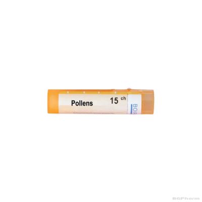 Поленс 15 CH Boiron | POLLENS ( POLLANTINUM )