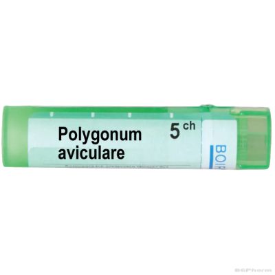 Полигонум авикуларе 5 CH Boiron | POLYGONUM AVICULARE