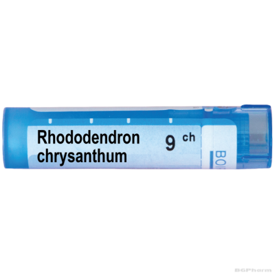 Рододендрон хризантум 9 CH Boiron | RHODODENDRON CHRYSANTHUM