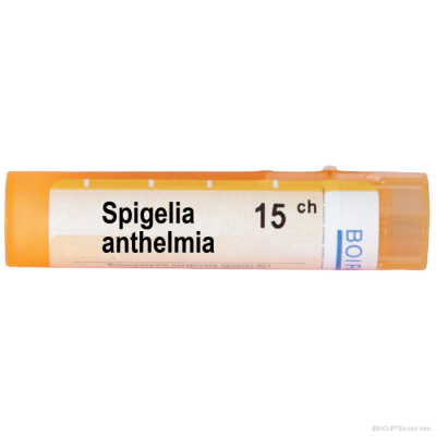 Спигела антелмиа 15 CH Boiron | SPIGELIA ANTHELMIA