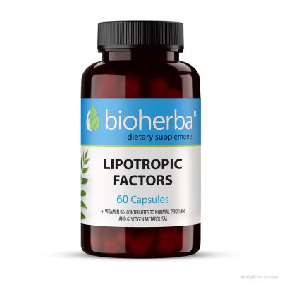 Липотропни фактори 350 мг + Витамин Б6 х 100 капсули БИОХЕРБА | BIOHERBA Lipotropic Factors