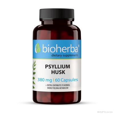 Псилиум хуск 380 мг х 100 капсули БИОХЕРБА | BIOHERBA Psyllium Husk