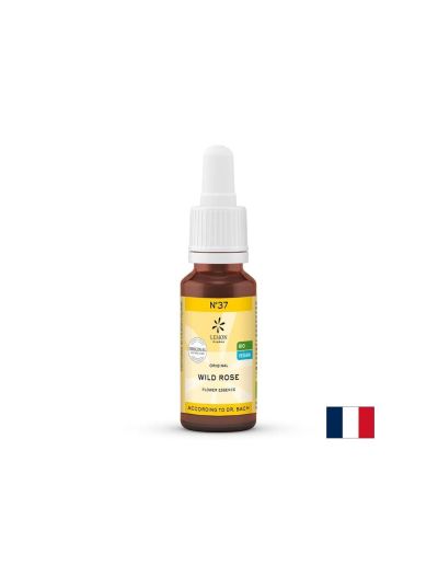 Цветна есенция на д-р БАХ : Шипка N°37 на капки х 20 мл Lemon Pharma