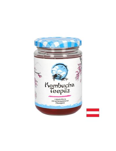 Комбуча ( Чаена гъба ) с ферментирал плодов чай х 200 мл GALL PHARMA