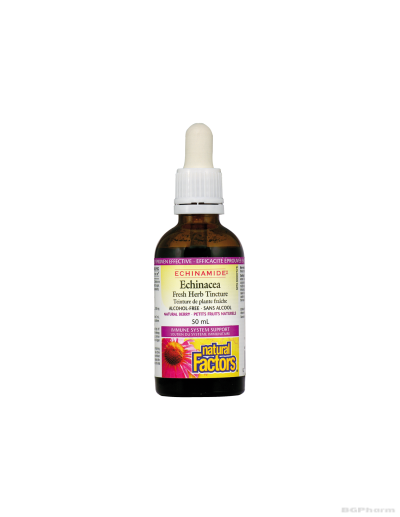 Echinamide® Тинктура ехинацея, 50 ml (При простуда и грип, без алкохол) Natural Factors