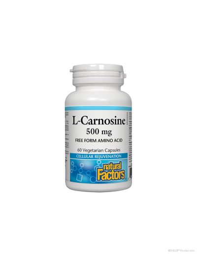 Л-Карнозин 500мг х 60 капсули Natural Factors | L-Carnosine